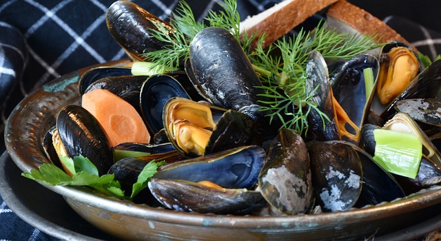 shellfish-3148452_640